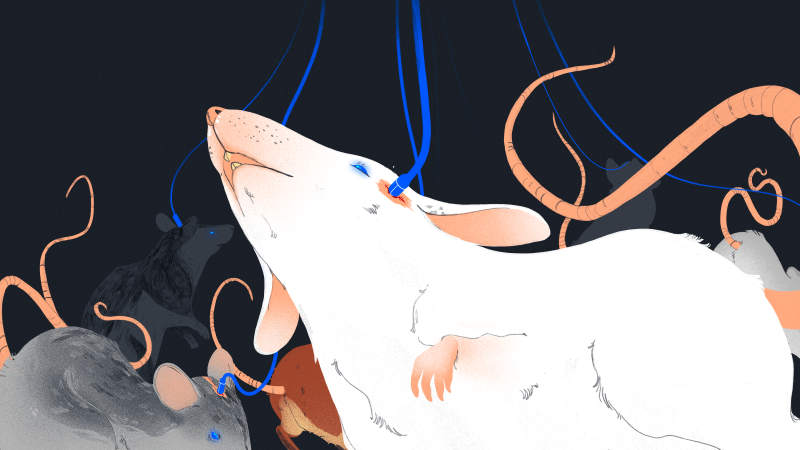 Illustration for article titled iPads, Jerks, and Poisoned Food: The Best Gizmodo Stories of the Week